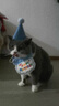 布丁喵喵 宠物生日围兜帽子 蓝色【赠生日蜡烛】狗狗猫咪生日派对装饰拍照 实拍图