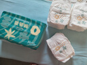 巴布豆（BOBDOG）新菠萝纸尿裤植萃弱酸新生婴儿粘贴菠萝裤男女宝宝通用尿不湿 新菠萝拉拉裤XL码36片 实拍图