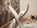 帕美居 天鹅摆件装饰品陶瓷家居客厅结婚礼物创意酒柜电视柜工艺品 欧式天鹅一对 实拍图
