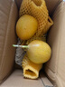 【顺丰】新鲜现摘云南热情果 黄金百香果 应季不常见水果大果 精选大果（单果约80g） 500g 实拍图