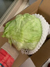 千牛优福球生菜3-5斤 汉堡圆生菜西生菜轻食沙拉煎饼西餐食材新鲜蔬菜 5斤装 实拍图
