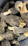 川珍 羊肚菌100g(6-8cm) 大容量滋补煲汤食材 山珍干货去柄火锅菌汤包材料礼物礼品送长辈 实拍图