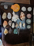 曦凰天然贝壳海螺壳海星珊瑚石儿童玩具装饰摆件DIY卷贝鱼寄居蟹 套餐四:斤大海螺贝壳 实拍图