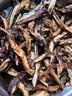 妧茹枂芊茄子干东北土特产干茄子条农家自制茄子丝干菜 200g*3袋 实拍图