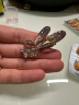 奇美拉（CHIMERA）2件可爱减龄水钻一字夹兔子边夹顶夹发饰发卡女生日礼物 晒单实拍图