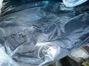 熊猫泡泡户外羽绒服女短款700蓬保暖鸭绒面包服男防泼水抗寒加厚外套 [1.0]85绒,幻影黑,男女同款,女拍小一码 M 实拍图
