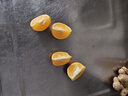 云冠橙 云南冰糖橙  一级果 净重10斤 单果约100g 生鲜水果源头直发 实拍图