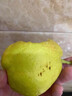 锁季新疆库尔勒香梨现摘新鲜水果脆甜香妃全母梨孕妇水果春节礼盒送礼 净重8斤商超大果 单果120g+ 实拍图