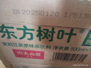 农夫山泉 东方树叶茉莉花茶500ml*15瓶 0糖0脂0卡无糖茶饮料 礼盒 实拍图