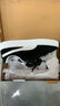 彪马（PUMA）面包鞋|经典复古休闲滑板鞋男女夏板鞋SUEDEXL395205 黑色-白-02 43 实拍图