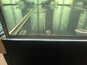玛豆V7龙鱼用维生素专用营养液观赏鱼v益生菌c防厌食促进发色伤口愈合 全国7仓发货，500ML单瓶装（促进鳞片发色） 实拍图