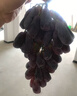 教蔬鲜生【顺丰直达】现摘无籽蓝宝石新鲜葡萄金手指黑美人拇指黑提子 3斤净重单果【10mm-15mm】 实拍图