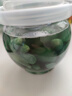 腊八糖蒜正宗绿蒜新鲜蒜头山东特产大蒜腌制泡菜糖醋咸菜批发饭菜 高品质腊八蒜【2罐装】共1000克 实拍图