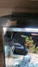 森森（SUNSUN）鱼缸冲浪泵水族箱造浪泵横流造流泵 JVP-110 3w适合0.6米以下的鱼缸 实拍图