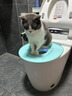 第二代(V2.0)猫训练厕所拉粑粑猫咪重复使用训练器厕所猫猫 新版V2.0蓝色（损坏包赔） pp环保材料 实拍图