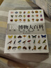 【新华正版】dk博物大百科 DK博物大百科全书中文正版dk儿童动物恐龙植物生物太空我们的身体6-7-10岁精装绘本一年级小学生彩图博物馆可怕的科学 实拍图
