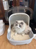 KimPets猫砂盆超大号封闭式猫厕所猫屎盆抽屉式翻盖式防外溅隔臭猫咪用品 【掀盖式】高级灰【透明前掀盖】 实拍图