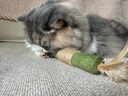 华元宠具猫薄荷超大巨无霸磨牙棒玩具自嗨解闷逗猫棒特长杆木天蓼猫咪用品 实拍图