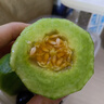 鲁禧山东特产源头直发羊角蜜甜瓜脆甜多汁春季头茬新鲜香瓜孕妇水果 羊角蜜 3 斤装 实拍图