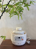 小熊（Bear）婴儿辅食机bb煲0.8L 电炖锅隔水电炖盅 陶瓷蒸煮辅食锅DDZ-A08M3 实拍图