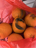 生活＆好管家 四川春见耙耙柑爆浆大果新鲜水果礼盒应季橘子现摘柑橘子桔子 3斤【尝鲜装】净重3斤 果径90mm+【果王】 实拍图