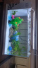 长锐侧滤鱼缸桌面办公室免换水生态水草超白水族箱 K600造景版【长63 宽27 高35】 实拍图