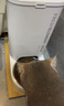 小佩宠物智能自动喂食器SOLO猫咪 猫狗粮冻干定时投食远程控制储粮 SOLO喂食器(不锈钢碗版) 实拍图