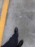 老人头（LAORENTOU）皮鞋男鞋商务正装鞋韩版休闲头层皮软底透气休闲鞋 110210 黑 38 实拍图