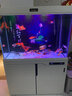 西龙新中式大型超白鱼缸客厅家用水族箱下过滤底滤懒人免换水屏风隔断 胡桃色102*40*151靠墙款 尺寸 实拍图