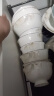 厚秀堂景德镇碗家用吃饭10个装 骨瓷碗陶瓷碗套装 防烫米饭碗面碗可微波 银杏 5英寸 10个 实拍图