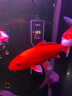 森森（SUNSUN）龙鱼缸加热棒自动恒温变频省电加温棒水族箱加温器 急速加热【1000W省电】推荐500-700L水 实拍图