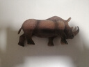 玛奇乐（MECHILE）仿真远古史前动物模型玩具冰河世纪猛犸象剑齿虎长毛犀牛长毛象 长毛犀牛 实拍图