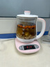 小熊（Bear）养生壶家用 烧水热水壶 迷你 0.8升小型煮茶壶煮茶器电加厚玻璃 YSH-A08U6 灰色无滤网 YSH-A08U6 0.8L 实拍图