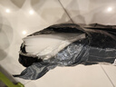 嘉德朗网纹路真空保鲜袋真空食品包装袋抽真空塑封袋封口机压缩袋家用 28CM*40CM    100只装 实拍图