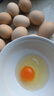 忆乡岭鸡蛋 散养谷物蛋 农家山林喂养 初生鲜土鸡蛋 6枚240g 实拍图