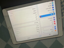 Apple苹果 iPad Air1/Air2/Air3 迷你mini2/4/5 二手平板电脑ipad ipad 2018 32G WiFi版 95成新 实拍图