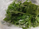 艾草新鲜食用蔬菜现摘清明草粑粑青团3斤顺丰艾叶新鲜艾草叶 【顺丰快递】 500g 实拍图