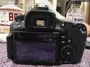 佳能/Canon 60D 70D 77D 80D 90D 半画幅 中高端单反 二手单反相机 数码相机 60D 单机 99成新 实拍图