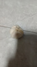 【百万单爆品】紫白皮蒜水果大蒜超市生鲜蔬菜调料即食蒜 5-6头 100g 单果3.5-5cm 实拍图