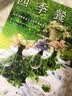 四季餐桌：来自瑞典餐桌艺术家的餐桌美学 实拍图