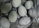 我老家 正宗皮蛋松花蛋鸭蛋 无铅工艺变蛋 20枚 1200g 装 松花蛋 实拍图