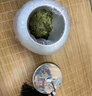 江萃茉莉花茶特级300g礼盒装茶叶礼盒浓香型茶叶礼盒长辈客户送礼品 实拍图