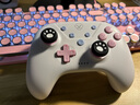 aolion澳加狮洛可可Agan阿感游戏手柄Switch2手柄Pro无线蓝牙NS2暴吵萌厨PC电脑版Steam安卓IOS手机手柄 云露莓 实拍图