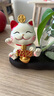 京东鲜花招财猫水培花瓶家居客厅装饰品办公桌面工位摆件水养器皿花盆摆设 实拍图