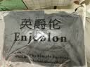 英爵伦（Enjeolon）高充绒量白鸭绒连帽羽绒服男士冬季加厚保暖休闲纯色短款外套上衣 黑色 XL 实拍图