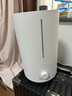 小米（MI）米家加湿器2 卧室家用办公室桌面 迷你低噪空气加湿银离子材料上加水 4L大容量 米家加湿器2 实拍图