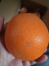 土八鲜江西橙子赣南脐橙新鲜水果赣州脐橙手剥甜橙礼盒 奋进橙4.5-5斤【单果径70-79mm】 实拍图