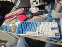 佳达隆（GATERON）磁玉轴PRO二代磁玉高精度可调节键程加长弹簧HIFI麻将音厂润封底机械键盘游戏开关配件 佳达隆磁玉轴PRO （5颗装） 实拍图