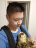 好孩子（gb）婴儿腰凳  轻便护腰外出抱娃神器 二合一背带宝宝坐凳 【透气轻盈二合一腰凳】黑金 实拍图
