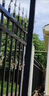锌钢围墙护栏铁艺围栏镀锌防护栏杆工厂小区院墙学校隔离栅栏 黑色 实拍图